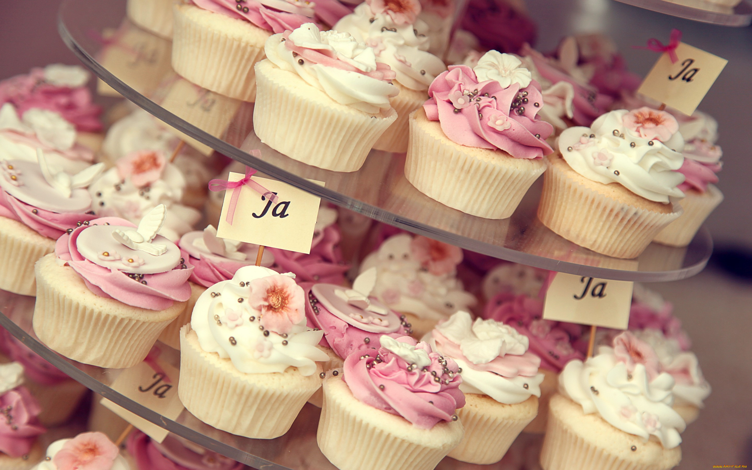 , ,  ,  , cupcake, dessert, sweet, cream, , , , 